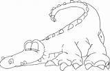 Alligator Coloring Pages Color Cartoon Animal Sheet Kids Printable Library Clipart Animals Popular Line sketch template