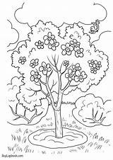 Coloring Tree Cycle Apple Life Teachersmag Pages sketch template