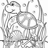Coloring Pages Turtle Printable Ocean Uploaded User sketch template