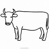 Vaca Cow Kuh Ox Clipartmag Ultracoloringpages Draw Uma Nicepng Komputer Ando sketch template