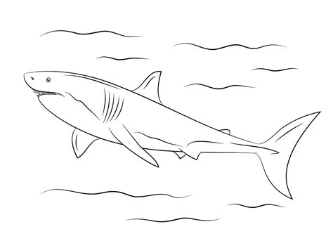 great white shark      deep dives coloring page
