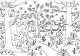 Coloring Dschungeltiere Colorare Giungla Dżungla Disegni Kolorowanka Kolorowanki Magiczna Dschungel Vögel Tiger Malvorlagen Unter Getbutton 3ab561 Lustige Tropische Azcoloring sketch template