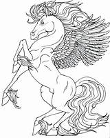 Coloring Pegasus Pages Unicorn Wings Printable Horse Realistic Unicorns Adults Kids Baby Colouring Coloring4free Color Drawing Print Rearing Drawings Pony sketch template