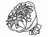 Bunch Chrysanths Coloring Coloringcrew sketch template