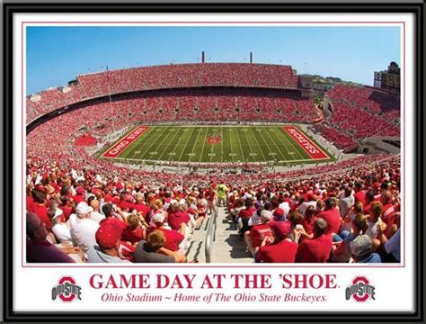 ohio state buckeyes game day   shoe framed picture ohio