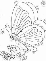 Borboleta Mariposas Butterfly Colorear Risco Schmetterling Volando Nique Bordar Mariposa Riscos Raupe Patrones Koristiti Leptira Seme Mozete Bordados Ausmalen Zeichnen sketch template