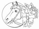 Coloring Pages Horse Adults Kids Hard Horses Printable Color Print Adult Cowgirl Winner Books Getcolorings sketch template