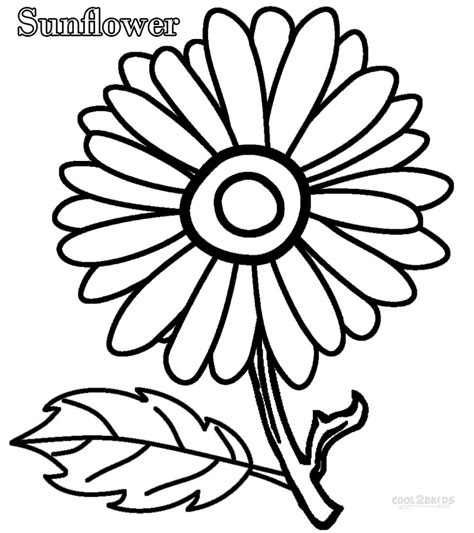 printable sunflower coloring pages  kids coolbkids