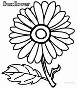 Sunflower Coloring Pages Simple Cool2bkids Printable Kids sketch template