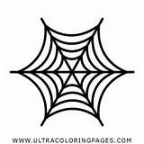 Spinnennetz Ausmalbilder sketch template