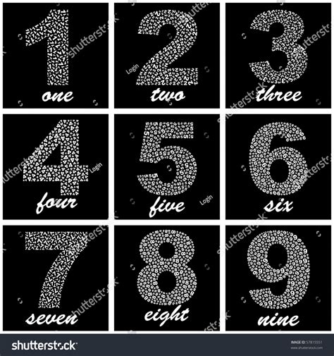 number sign collection vector set  shutterstock