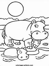 Hippo Coloring Hippopotamus Pages Coloriages Awesome Printable Kids sketch template