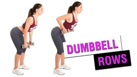 Skinny Ms Bent Over Dumbbell Rows Youtube
