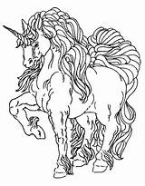 Colorat Unicorni Planse Desene Unicornio Unicornios Einhorn Damy Letzte Aripi Hadas Fete sketch template