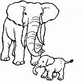 Coloring Elephants Pages Kids Print Color Children Printable Animals Justcolor sketch template