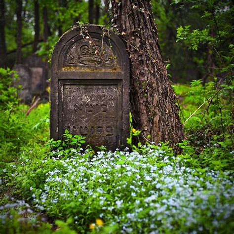 i love walks through old cemeteries……so glad there are so many others who enjoy what s … old