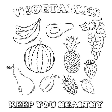 images   printable fruit  vegetable templates