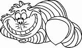 Alice Wonderland Cat Caterpillar Disney Drawing Coloring Pages Clipartmag Drawings Getdrawings sketch template