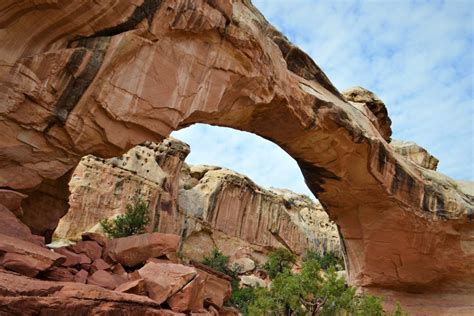 fun     capitol reef national park tips  family trips