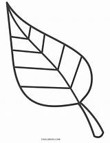 Ausmalbilder Blatt Blätter Ausdrucken Malvorlagen Cool2bkids sketch template