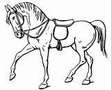 Cavalo Colorir Poplembrancinhas sketch template