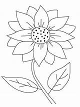 Sunflower Coloring Pages Color Sunflowers Drawing Outline Simple Printable Clip Sheets Templates Kids Print Clipart Fun Template Sheet Pattern Flowers sketch template