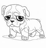 Bulldog Coloring Pages Cute Drawing Little American Pug French Face English Line Printable Bulldogs Color Sad Getcolorings Bowl Inside Happy sketch template