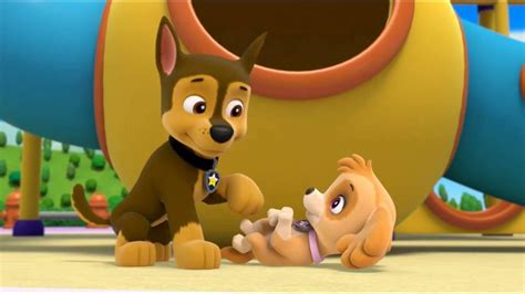 Chase X Skye Paw Patrol Animated Couples Photo 40110256 Fanpop