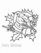 Robin Coloring Pages Red Printable Bird Getcolorings Getdrawings Color sketch template