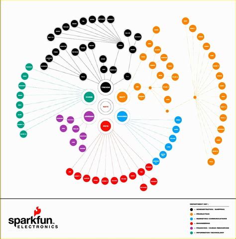 Free Circular Organizational Chart Template Of Organization Flow 159232