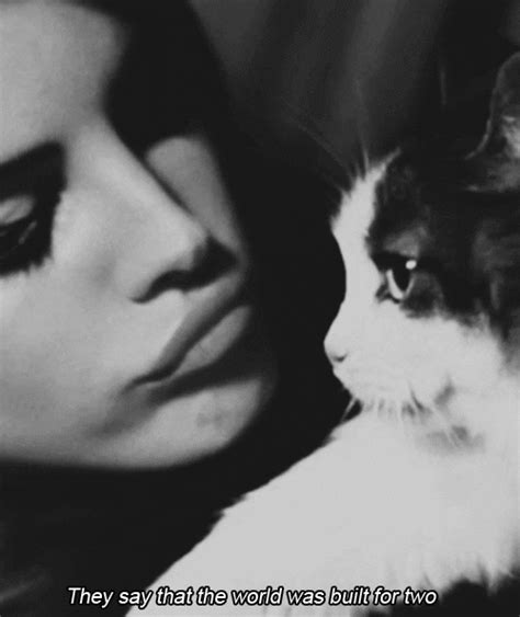 lana del rey with cat s find and share on giphy
