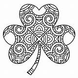 Shamrock Coloring Pages Printable Trinity Irish Holy Celtic St Ireland Template Adults Color Patricks Print Patrick Adult Drawing Shamrocks Clover sketch template