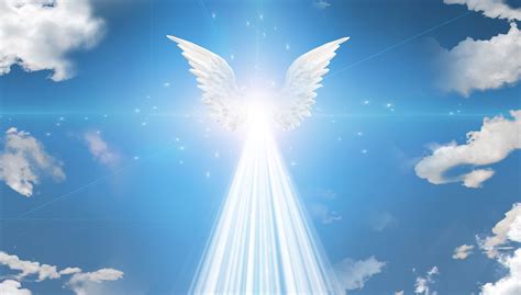 como saber  los angeles se comunican  nosotros univision