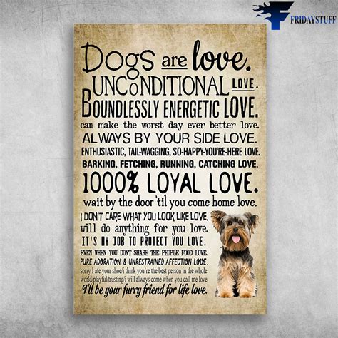 unconditional love   dog dogs  love unconditional love