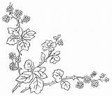 Branch Coloring Designlooter 57kb 434px Spring sketch template