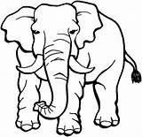 Elephant Coloring Pages African Elephants Angry Animals Drawing Line Kids Safari Print Clipart Children Clipartmag Coloringsky sketch template