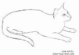Cat Coloring Oriental Color Down Laying Drawings Pages Line Drawing Own Christmas Visit Layingdown sketch template