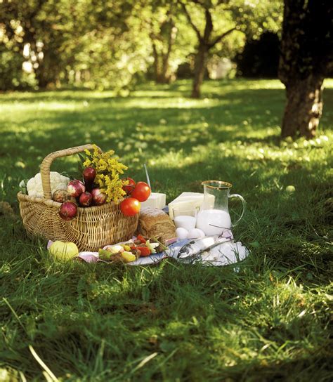 37 ways to have the most delightful picnic ever