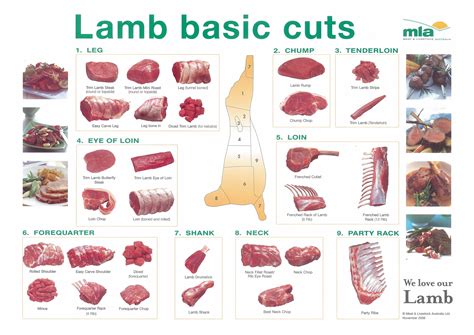 charts  pork beef  lamb cuts lambs pork  food