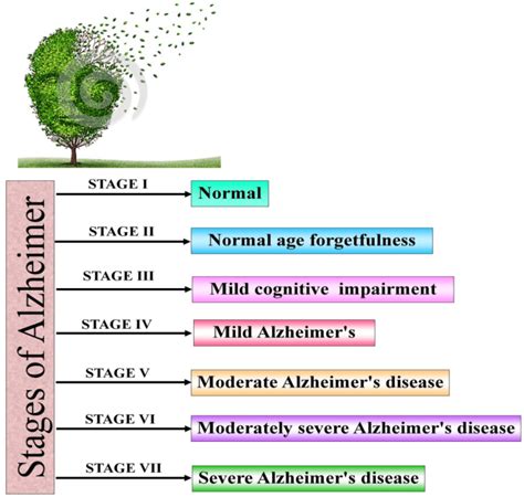 different stages of alzheimer s disease download scientific diagram