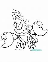 Flounder Ariel Coloringhome Sheets sketch template