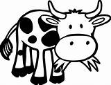 Cow Vaca Pasto Kuh Comiendo Koe Colorir Kleurplaat Cows Malvorlage Clipartmag Desenhos Grama Comendo Mucca Mucche Categorias Lindo Animales Dibujosonline sketch template