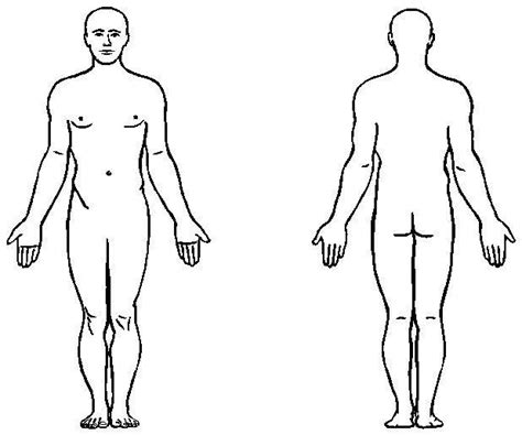 human body front   outline clipart
