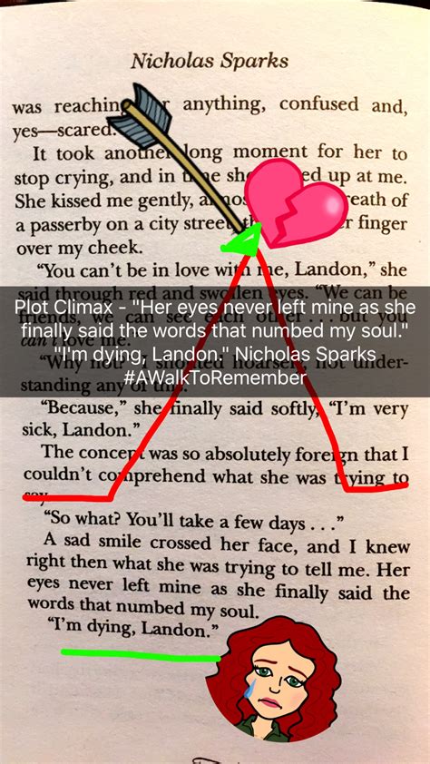 booksnaps snapping  learning real