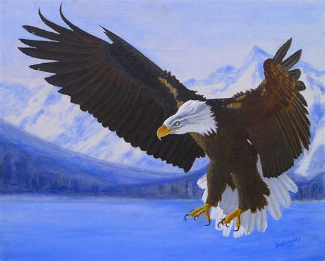american bald eagle painting  david hawkes