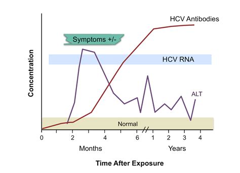 core concepts diagnosis of acute hcv infection