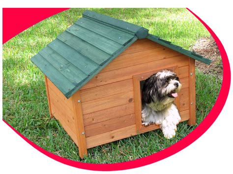 pamper  dog   solid cedar dog house