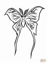 Moth Coloring Papillon Motte Lune Ausmalbild Sketch Gratuit Supercoloring sketch template