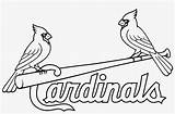Cardinals Louis Logo St Stencil Pngkey Clip sketch template