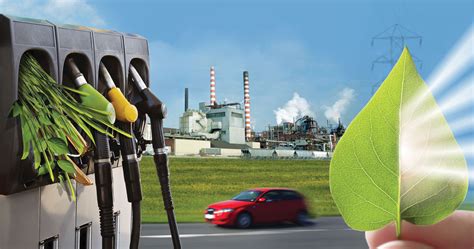 bioenergy biofuels